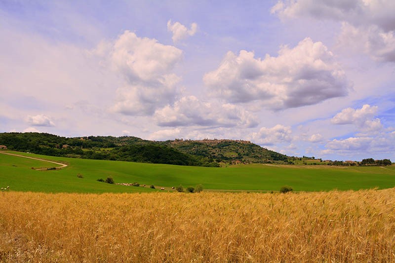 migliori agriturismo a Montalcino